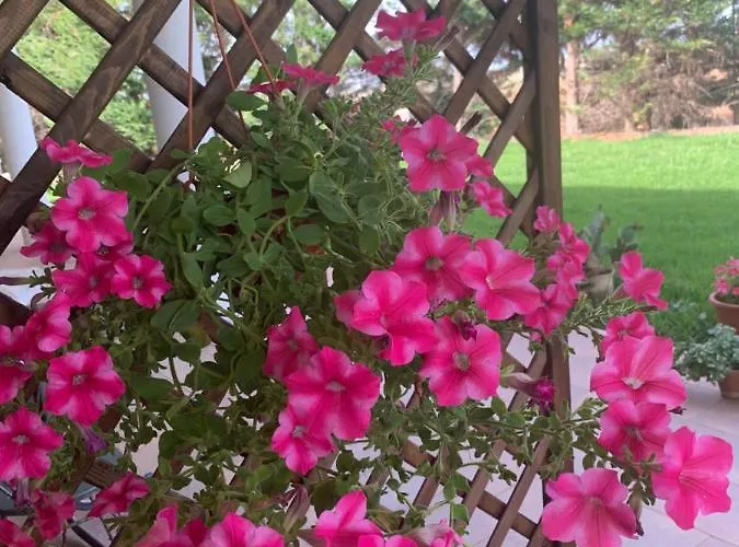 Home27 Hébergement de vacances